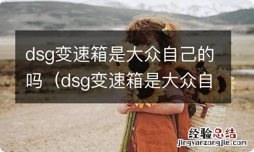dsg变速箱是大众自己的吗 dsg变速箱是大众自己的吗