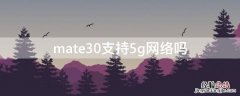 mate30支持5g网络吗 mate30支持5gwifi