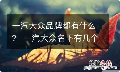 一汽大众品牌都有什么？ 一汽大众名下有几个品牌