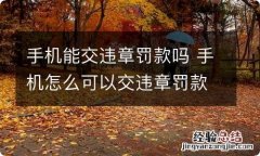 手机能交违章罚款吗 手机怎么可以交违章罚款