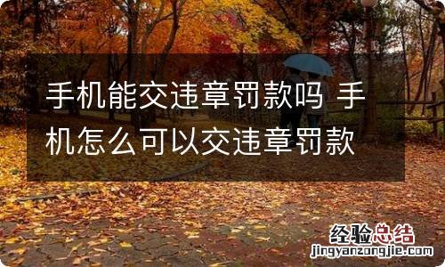 手机能交违章罚款吗 手机怎么可以交违章罚款