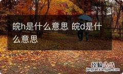 皖h是什么意思 皖d是什么意思