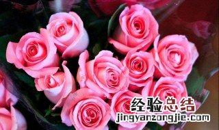 27朵玫瑰花代表什么意思 27朵玫瑰花花语介绍