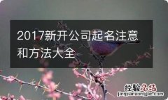 2017新开公司起名注意和方法大全