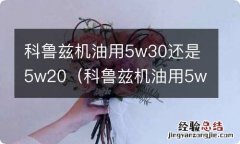 科鲁兹机油用5w30还是0w40 科鲁兹机油用5w30还是5w20