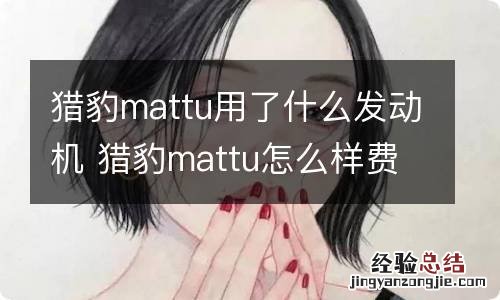 猎豹mattu用了什么发动机 猎豹mattu怎么样费油吗