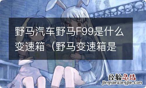 野马变速箱是什么型号 野马汽车野马F99是什么变速箱