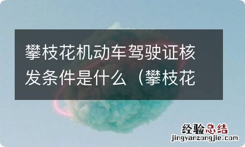 攀枝花审驾照在哪里 攀枝花机动车驾驶证核发条件是什么