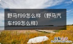 野马汽车f99怎么样 野马f99怎么样