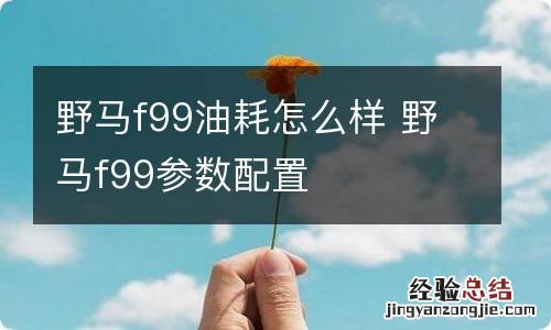 野马f99油耗怎么样 野马f99参数配置