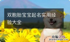 双胞胎宝宝起名实用经验大全