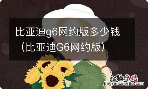 比亚迪G6网约版 比亚迪g6网约版多少钱