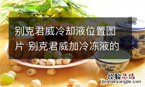 别克君威冷却液位置图片 别克君威加冷冻液的位置图