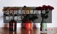 公司起名应注意的事项都有哪些？