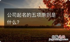 公司起名的五项原则是什么？