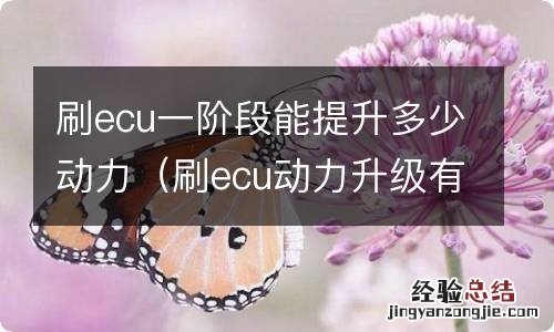 刷ecu动力升级有用吗 刷ecu一阶段能提升多少动力