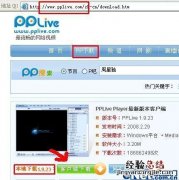 PPLive播放故障全解决 PPLIVe