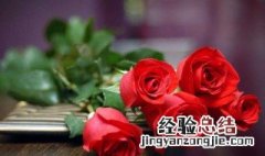 101朵玫瑰代表什么意思 玫瑰花介绍