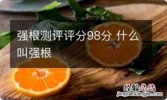 强根测评评分98分 什么叫强根