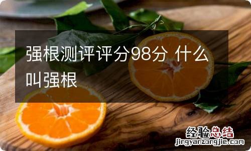 强根测评评分98分 什么叫强根