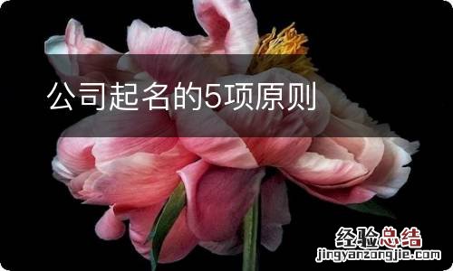 公司起名的5项原则