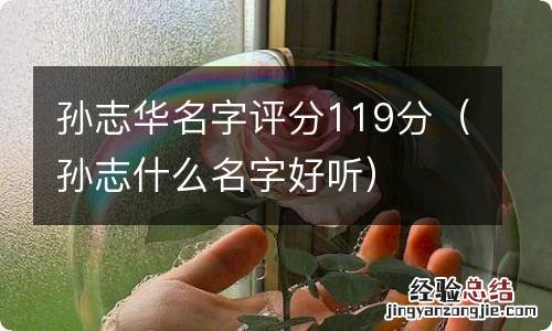 孙志什么名字好听 孙志华名字评分119分