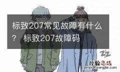 标致207常见故障有什么？ 标致207故障码