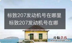 标致207发动机号在哪里 标致207发动机号在哪里拓