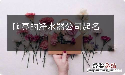 响亮的净水器公司起名