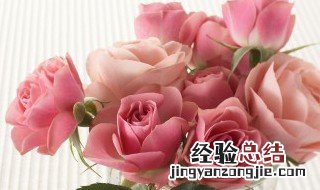 520怎么用语言表达 520怎么用语言表达