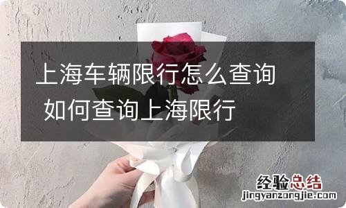 上海车辆限行怎么查询 如何查询上海限行