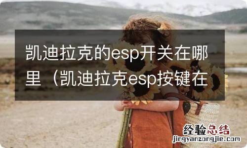 凯迪拉克esp按键在哪 凯迪拉克的esp开关在哪里