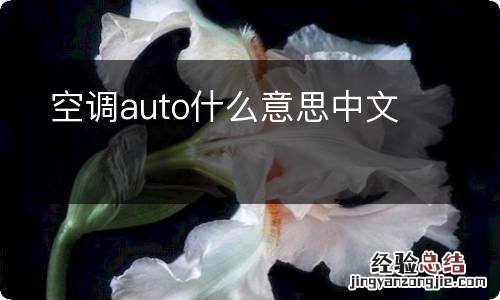 空调auto什么意思中文