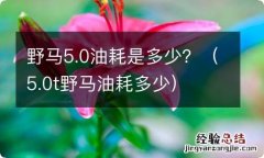 5.0t野马油耗多少 野马5.0油耗是多少？