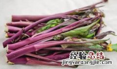 红菜苔如何保存 红菜苔怎么保存