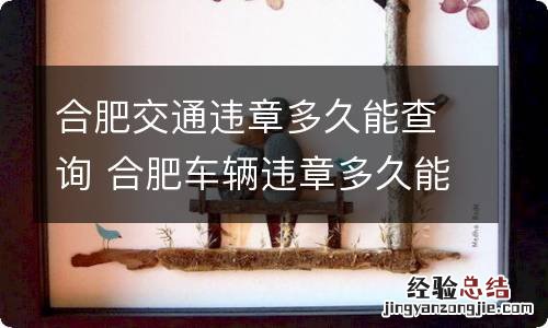 合肥交通违章多久能查询 合肥车辆违章多久能查到