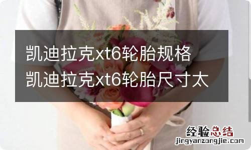 凯迪拉克xt6轮胎规格 凯迪拉克xt6轮胎尺寸太小不好看