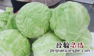 圆白菜和小白菜区别 圆白菜和大白菜一样吗