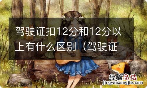 驾驶证有哪些是扣12分的 驾驶证扣12分和12分以上有什么区别