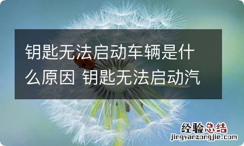 钥匙无法启动车辆是什么原因 钥匙无法启动汽车