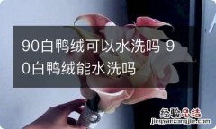 90白鸭绒可以水洗吗 90白鸭绒能水洗吗