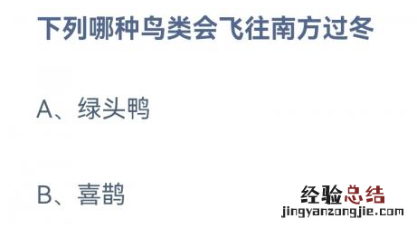 绿头鸭和喜鹊哪种鸟类会飞往南方过冬？蚂蚁庄园鸟类过冬 12.11答案