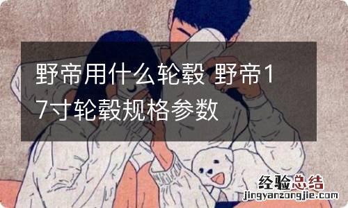 野帝用什么轮毂 野帝17寸轮毂规格参数