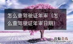 怎么查驾驶证年审日期 怎么查驾驶证年审