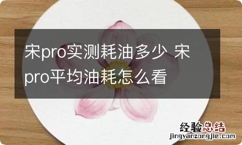 宋pro实测耗油多少 宋pro平均油耗怎么看