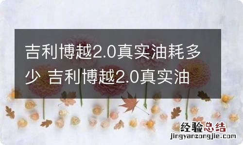 吉利博越2.0真实油耗多少 吉利博越2.0真实油耗多少升