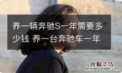 养一辆奔驰S一年需要多少钱 养一台奔驰车一年要多少钱