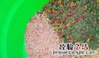 低温开饵方法 开饵的妙招介绍