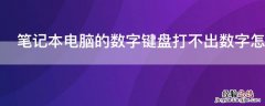 笔记本电脑的数字键盘打不出数字怎么办