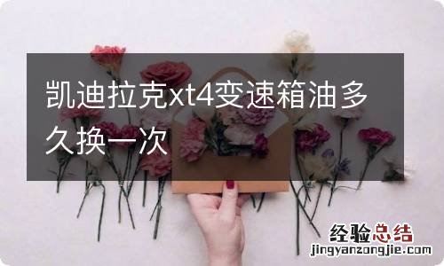 凯迪拉克xt4变速箱油多久换一次